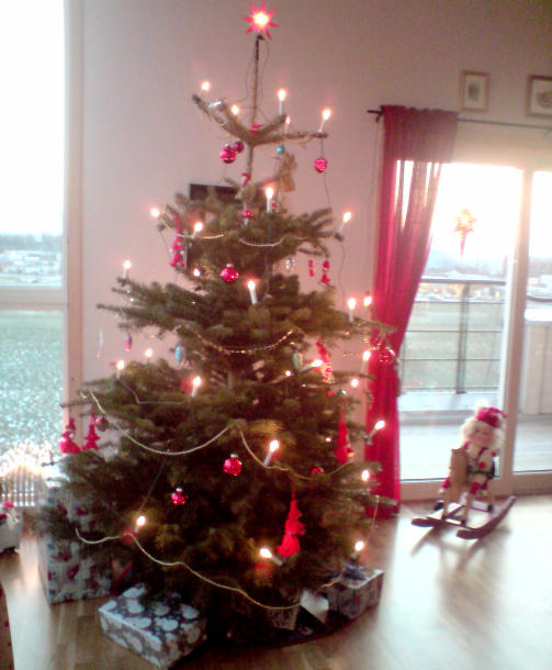 En familie i Bod� har sendt oss dette treet.