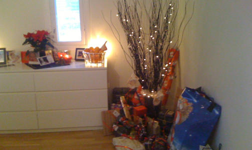 juletre:
Etter 10 dager med vanilg gran gikk jeg over til dryssefri juletre.
Anbefalles til folk med katt :))))