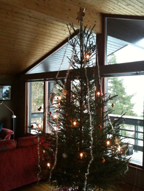 Her er v�rt tre. Det er cirka 2,70 meter h�yt. Vi i Hammerveien �nsker alle en god jul! Foto: Yrjan Sundf�r Rodrigues