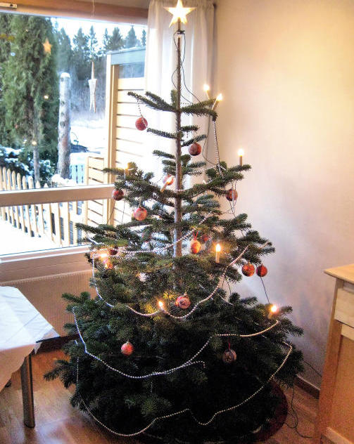 God jul, skriver Tori Karin Robinson