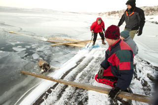 P� LAND: If�lge eieren var det trolig uimotst�elige signaler fra nabolagets tisper med l�petid som vant over oppdragelsen. 
Foto: Heiko Junge / Scanpix