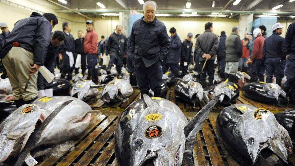 PRISREKORD: En bl�finnet tunfisk p� 232 kilo ble solgt for over en million kroner p� Tokyos fiskemarked i dag. Foto: AFP