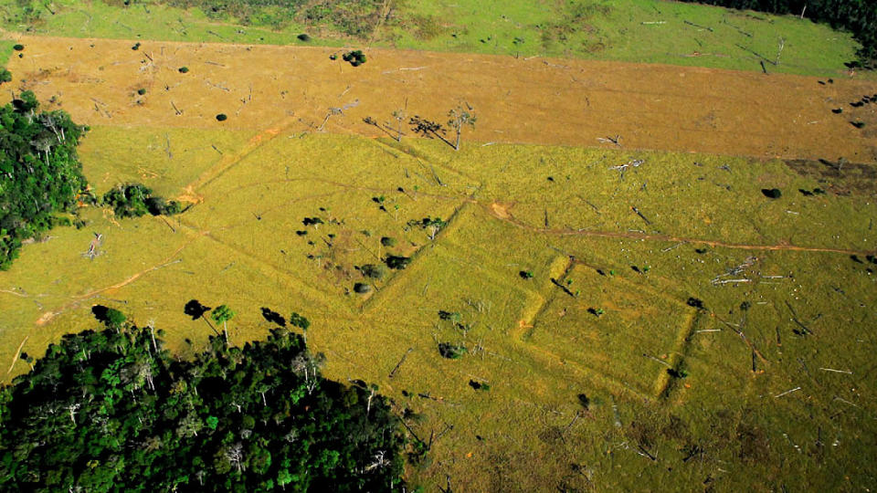 S� FORMASJONENE F�RSTE GANG FRA FLY: B�de avskogning og Google Earth har f�rt forskerne n�rmere sporene av den tapte sivilisasjonen i Amazonas. Foto: Fra forskningsartikkelen/Google Earth