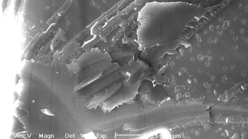 OVERFLATEN P� NAKHLA-METEORITTEN: Slik ser steinen ut i elektronmikroskopet. Det er her forskerne finner tegn til liv. Foto: WIKIMEDIS/NASA