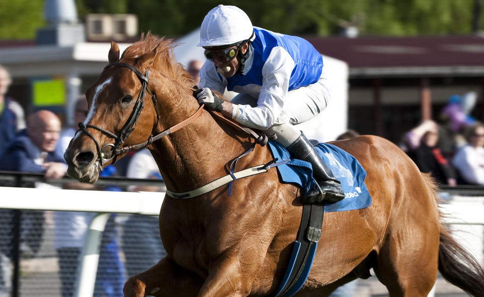 MILLIONMASKIN: For tredje �r p� rad har Appel au Maitre l�pt inn mer enn to millioner kroner. I fjor stakk hingsten av med prisen som �rets hest p� Hestegallaen. Kan den forsvare tittelen i �r?Foto: Hesteguiden.com