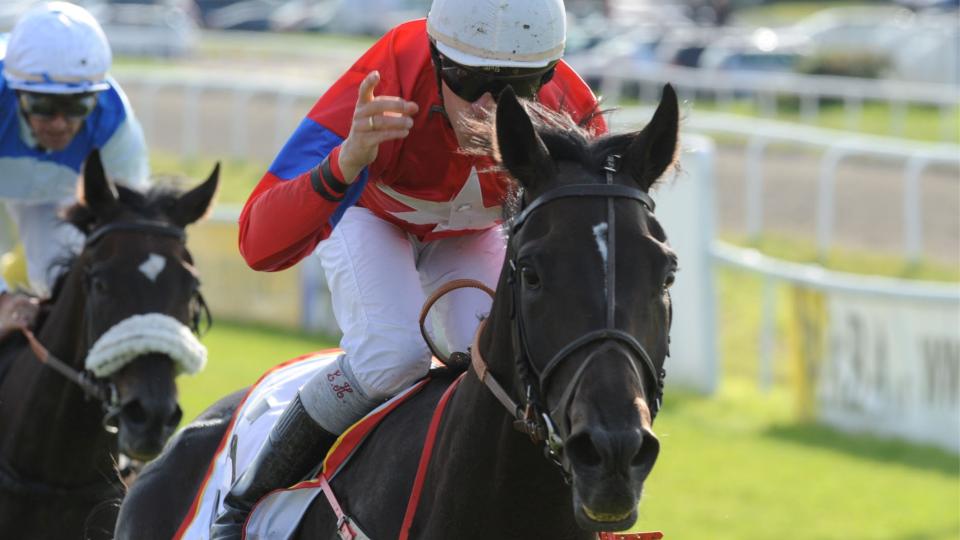 DERBY-VINNER: Touch of Hawk vant blant annet norsk Derby p� �vrevoll i august og Gr 3-l�pet Stockholm Cup i l�pet av et meget l�fterikt 2009.Foto: Stefan Uppstr�m