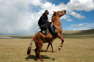  MONGOLIA:  Ridetur i Mongolia. Foto: Hvitserk & Eventyrreiser.