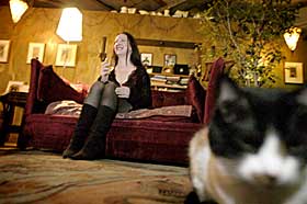 FUNNET P� GATA: Lisa Schroeder har funnet de fem hunnkattene sine p� gata - i likhet med mange av gjenstandene i leiligheten hennes. Den er bygget om fra en fabrikk, og ligger vegg i vegg med galleriet Schroeder Romero.