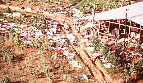 D�dens Tempel: Bildet er tatt etter at 913 medlemmer av sekten Folkets Tempel tok sitt eget liv eller ble drept i Jonestown i Guyana den 18. november 1978.