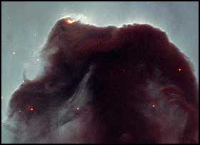 HESTEHODE: �Horsehead nebula� er et av de mest fotograferte objektene i verdensrommet. Den stiger opp fra en sj� av st�v og gass som en sj�hest.