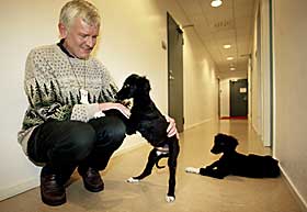 GAVENE TIL KONGEN:  De to hvalpene ble ikke tatt imot av kong Harald og statsminister Kjell Magne Bondevik.