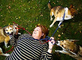  SUPRE KAMERATER:  Laila Myrvoll i Norsk Lundehundklubb reagerer p� k�ringen i det engelske hundebladet. -  Lundehunden er en super kamerat, med godt gemytt, og den elsker mennesker, sier hun.