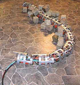BUKTER SEG FREM Med en fart p� 20 - 30 cm i sekundet smyger Snakefighteren Anna Konda seg frem.