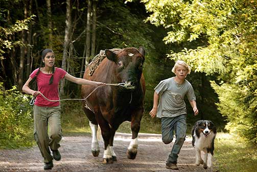 FARLIG FLUKT: Petter (Magnus Solhaug) og Nila (Sunaina Jassel) med oksen Samson og hunden Leo.