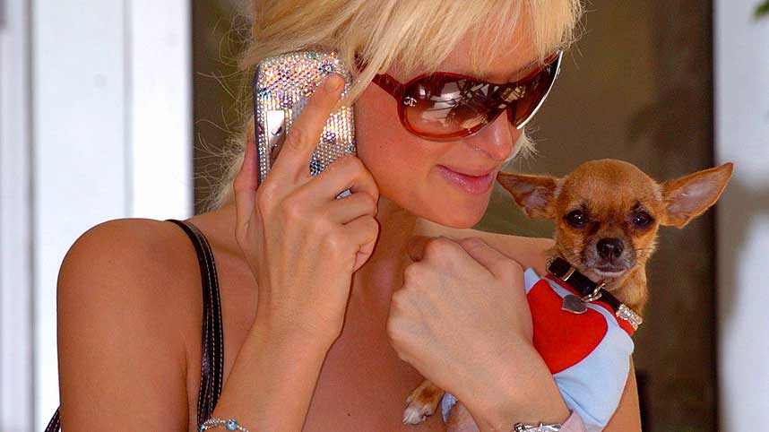 PARIS OG BIKKJA:  Paris Hilton sammen med sin lille f�lgesvenn.