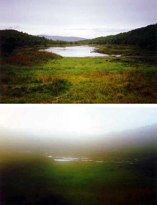 HER FORSVANT VANNET:  Engavatnet forsvant i 2000. Bare et gj�rmehull var igjen. S� dukket det opp igjen med fisk og det hele.