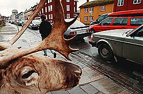 R�ROS: Tradisjon og stolthet over �det ekte� st�r sterkt p� R�ros. Forskeren mener det kan han noe for seg for folk � snakke dialekt her og at det er derfor folk gj�r det.