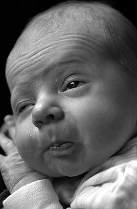 STØY PÅVIRKER FØDSELSVEKTEN: Denne gutten har det fint. Men støy ser ut til å påvirke både fertilitet og fødselsvekt.