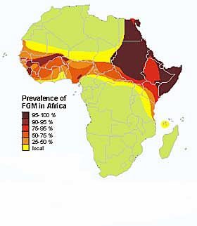 UTBREDELSE AV KJØNNSLEMLESTELSE: Det er tall fra Afrol som viser utbredelsen av kjønnslemlestelse (FGM) i Afrika. Kjønnslemlestelse skjer også på den arabiske halvøya, Jordan, Syria, Tyrkia og Irak. Tallene på utbredelse er omtrentlige, men anerkjent av Verdens helseorganisasjon.