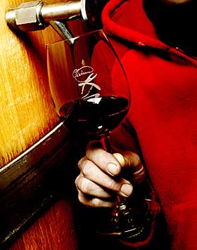  Slottstappet:  Katharinas vin er ikke fra noe vin-slott, men hun synes Chateau K var et greit navn.