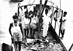 VELKJENT FLAUSE: Kerala i 1952, Norge ville gi fattige indiske fiskere et bedre liv ved � gi dem moderne, motoriserte fiskeb�ter. Det gikk ikke helt som planlagt, som mye annet i norsk utviklingshjelps 50-�rige historie.