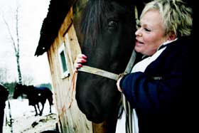 Hingsten: - Fine gutten, sier Lyon og stryker hånden over mulen til Rambo. Flere ganger i uka rir hun i skogen.