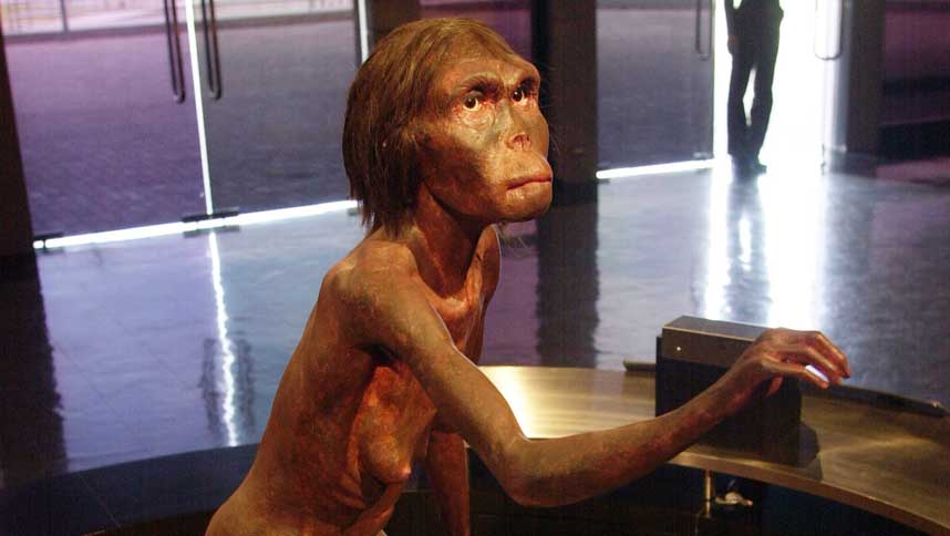 FORTIDSMENNESKE: Denne modellen st�r utstilt p� et museum i Bangkok. Den fremstiller Australopithecus Afarensis, etterkommer av amanensis.