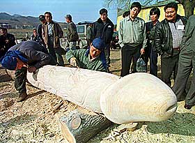 SKULPTURKONKURRANSE: Her spikkes en kjempepenis i tre i Sør-Korea. Trepeniskonkurransen har røtter 400 år tilbake i tid.