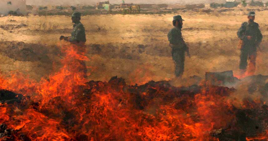 LITT OVER EN PROMILLE AV PRODUKSJONEN: Afghanske politimenn holder vakt ved brenningen av sju tonn opium, heroin og hasj utenfor hovedstaden Kabul i oktober i �r.
