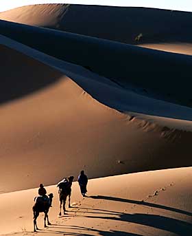 LANGSOM FERD: Har du lyst � bevege deg langsomt rundt i verden anbefaler Lonely Planet leserne � dra til Sahara for � ta seg en �rkentur p� kamelryggen.