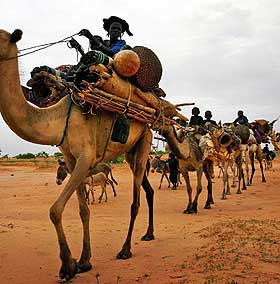 TUAREG-STAMMEN: Asibit jobbet dag og natt for sin slavedriver. Myndighetene i Niger har i lang tid benektet at det finnes slaveri i landet.