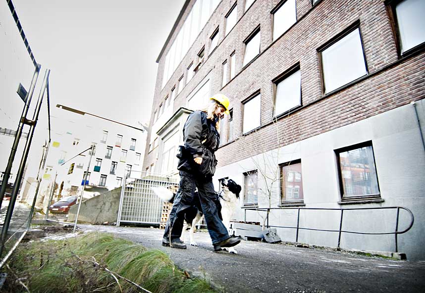  P� JOBB:  Hunden Jippi sammen med hundetrener Turid Buvik - p� vei inn i Rikshospitalets gamle lokaler i Oslo for � lete etter kreftframkallende milj�gifter.