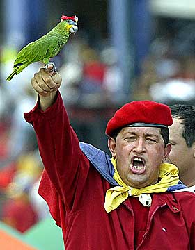 I SIGNATURKOSTYMET: Chavez og papegøyen med rød beret i oktober 2002. I april det året ble han forsøkt styrtet i et kuppforsøk.