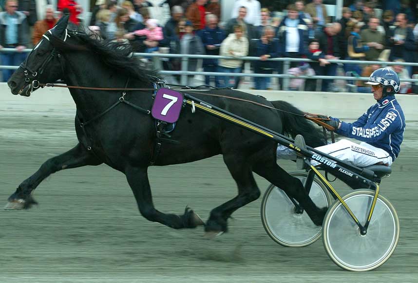 SLO SVENSKEN. Moe Odin viste kampvilje av det helt store, da han spurtet forbi J�rvs�faks i en tett finish. M�lfoto m�tte skille de to enerne.