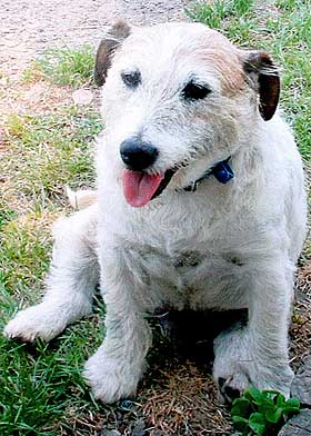 George