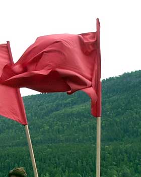 R�DE FLAGG OG NORSKE FJELL: Norsk Radikalt Parti, eller sosialister mot innvandring som de ogs� kalles.