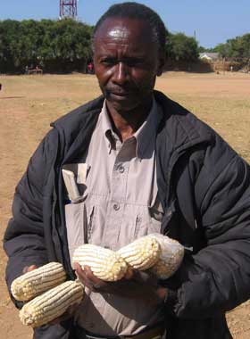 T�RKETID: I juni i �r slo flere avlinger i Pemba i Zambia feil. B�nder mener regnsesongen blir kortere og kortere for hvert �r. F� av b�ndene er forsikret mot v�rkatastrofer.