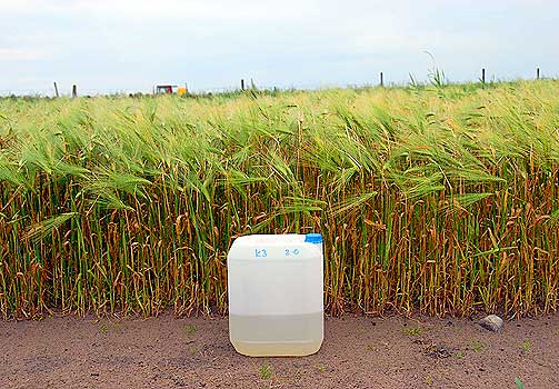 BIOMEMBRAN: Firmaet Albedo Tech i Sandnes tester for tida ut en s�kalt biomembran p� et testfelt p� J�ren. Stoffet hevdes � kunne reflektere str�ling og senke temperaturen i jorda - og dermed stanse den globale oppvarmingen.