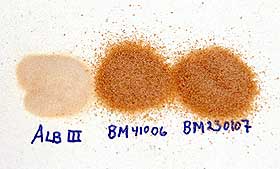 ORGANISK PRODUKT: Biomembranens sammensetning er hemmelig, men Johnsen avsl�rer at den best�r av organisk overskuddsmateriale. Den skal v�re b�de l�nnsom, milj�vennlig og b�rekraftig � framstille.