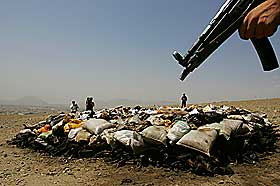 P� B�LET: Flere tonn opium og andre narkotiske stoffer er beslaglagt og holdes under strengt vakthold f�r det blir brennes i Kabul.