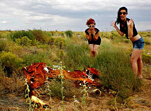 D�D HEST: Langs Highway 40, Arizona.