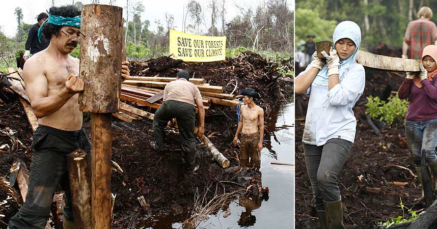 STOPPER DRENERING: Aksjonister stopper dreneringen av sumper og regnskog for � stoppe hugging av regnskogen p� Sumatra i Indonesia.
