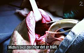 OPERASJON: Schau g�r gjennom de syv d�dssyndene, i dag tok han for seg forfengelighet.