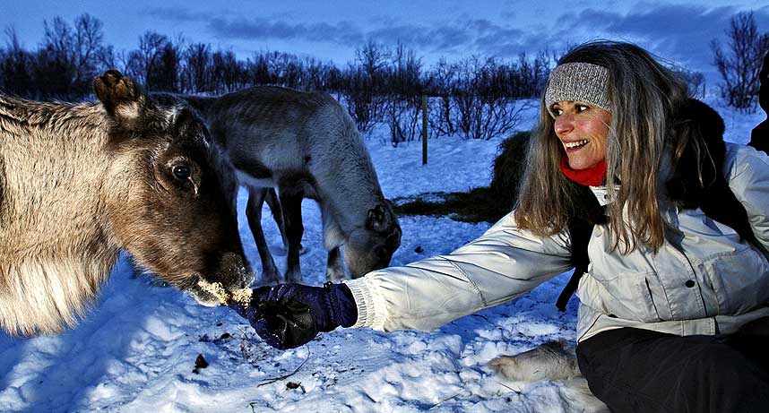 ARTISK: National Geographic Adventure beskriver Kirkenes som arktisk og eksotisk. Danske Elizabeth Bengtsen mater reinsdyret Rudolf i Gabba Reinsdyrspark i Kirkenes. P� vidda er tamreinen for sky.