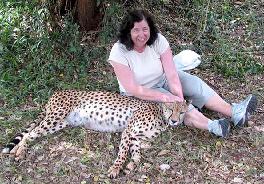  MESTRER GEPARDER:  Den britiske l�reren Gillian Gibbons (54) mestrer store kattedyr, her en tam gepard. Men teddybj�rner er verre � ha kontroll p� i Sudan. I dag ble l�reren d�mt til 15 dagers fengsel og utvisning fra landet fordi hun ikke hadde nektet levene � kalle en fiktiv teddybj�rn for Muhammed. Profeten og islam er van�ret, sa retten.