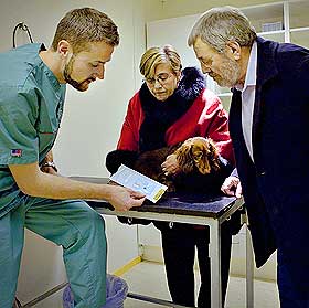 SISTE BRIEF: Veterin�ren forteller matmor Berit og matfar Hans Hansen hva som skal skje n�r hunden deres straks trilles p� operasjonsstue 1.