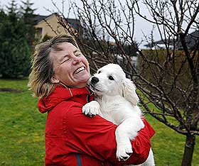 MER ENN HJERNE: Margunn Knarvik fikk utf�rt norgeshistoriens f�rste hjerneoperasjon p� golden retrieveren sin, Nikita (8), i fjor v�r. Inngrepet kostet 40 000 kroner og ga henne og mannen fire ekstra m�neder med hunden f�r den fikk tilbakeslag og d�de. N� er det det lille Wilma (ti uker) som er matmors go' klump.