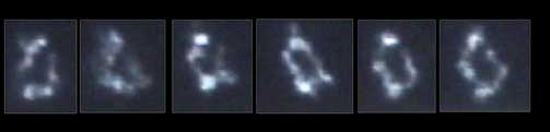 SYNTETISK LIV:  J.Craig Venter Institute viste fram det syntetiske �Mycoplasma genitalium bacteria� som her er fotografert over et tidsrom p� 0,6 sekunder.