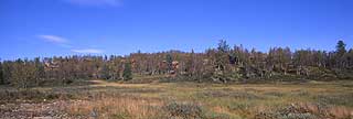 Ser ikke hytta for bare tr�r: - Folk hogger ned for � f� panoramautsikt p� hytta. Men folk drar p� hytta for � se p� naturen, ikke naboens hytte, mener Haug.