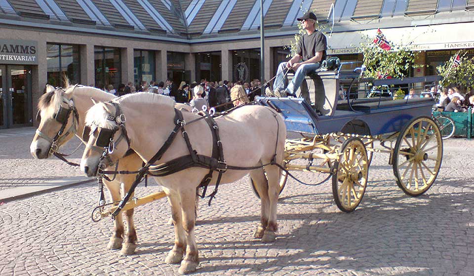 P� BYTUR: Alna Ridesenter har hatt noen turer i Oslo allerede, men bare ved spesielle anledninger. Her er et bilde fra Christiania Torv, som ligger like ved R�dhuset.